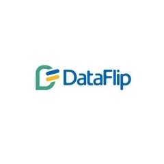Data Flip