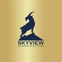 Skyview Business Solutions